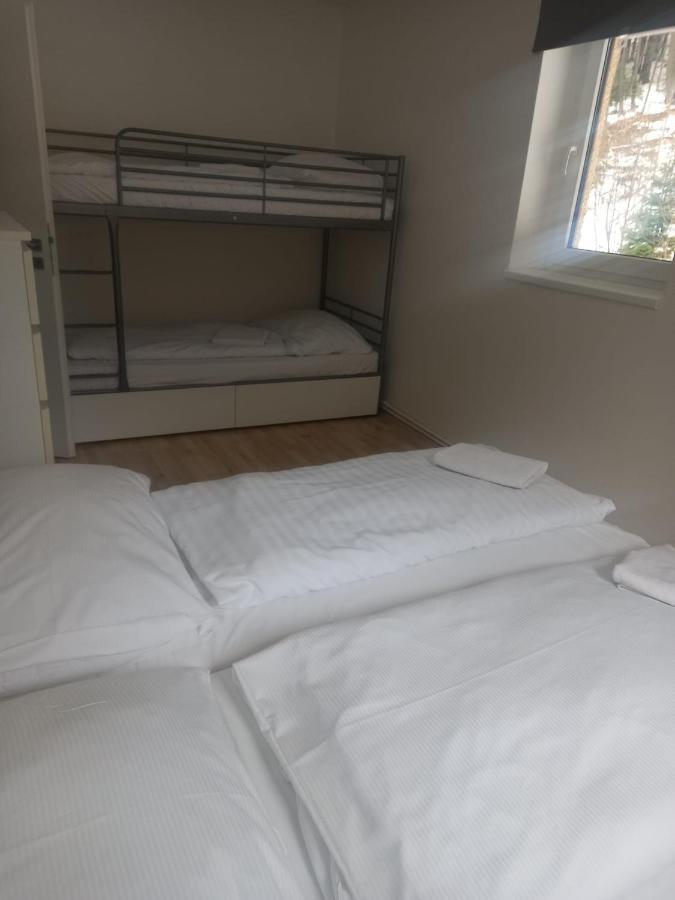 Apartmany Za Sneznikem Dolni Morava Ngoại thất bức ảnh